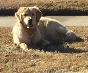 image_2023-02-02_225232543