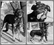 1.jpg&key=7f88f8fe97ce2815882849faf19208