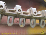 IMG-6634