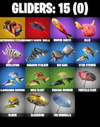 gliders-comp
