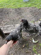 BE692B64-AEE0-48D2-B6FF-B3C4EE5943E0