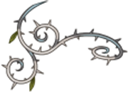 Curl-Left