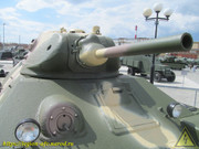 IMG-8186