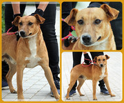 Be-Funky-collage-22.jpg&key=c7d307e9d10b