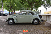 IMG-3563