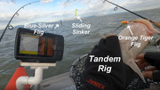 [Image: TANDEM-RIG.jpg]