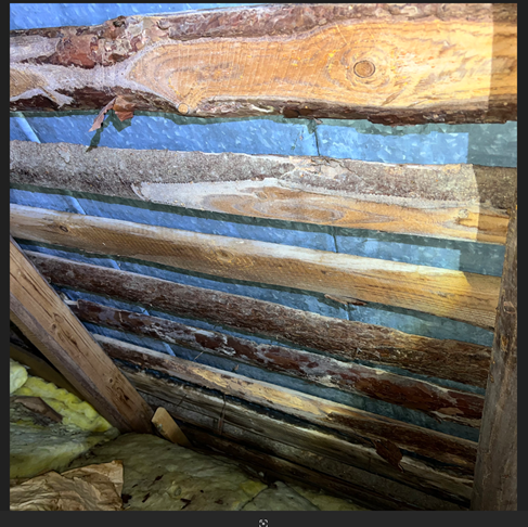 Näyttökuva 2025-03-24 182836