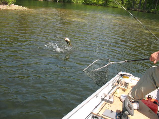 IMG-4328.jpg