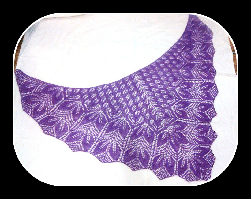 IMG_20170117_203638 (1)