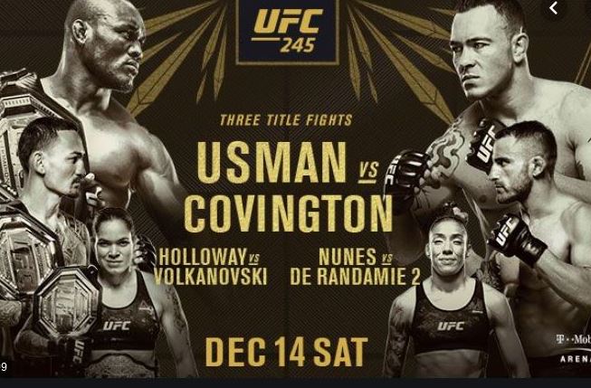 UFC234