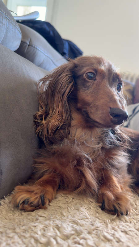 [Image: IMG-2614.jpg]