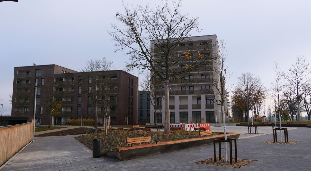 [Bild: 081125-091948-207b.jpg]