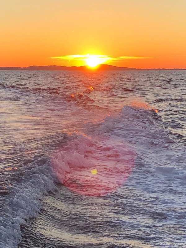 B4721096-CFA6-4167-B7F6-94071E5440C0