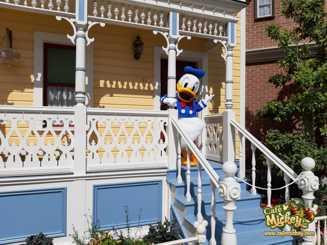 WhatsApp Image 2020-07-11 at 10.58.51 (1)