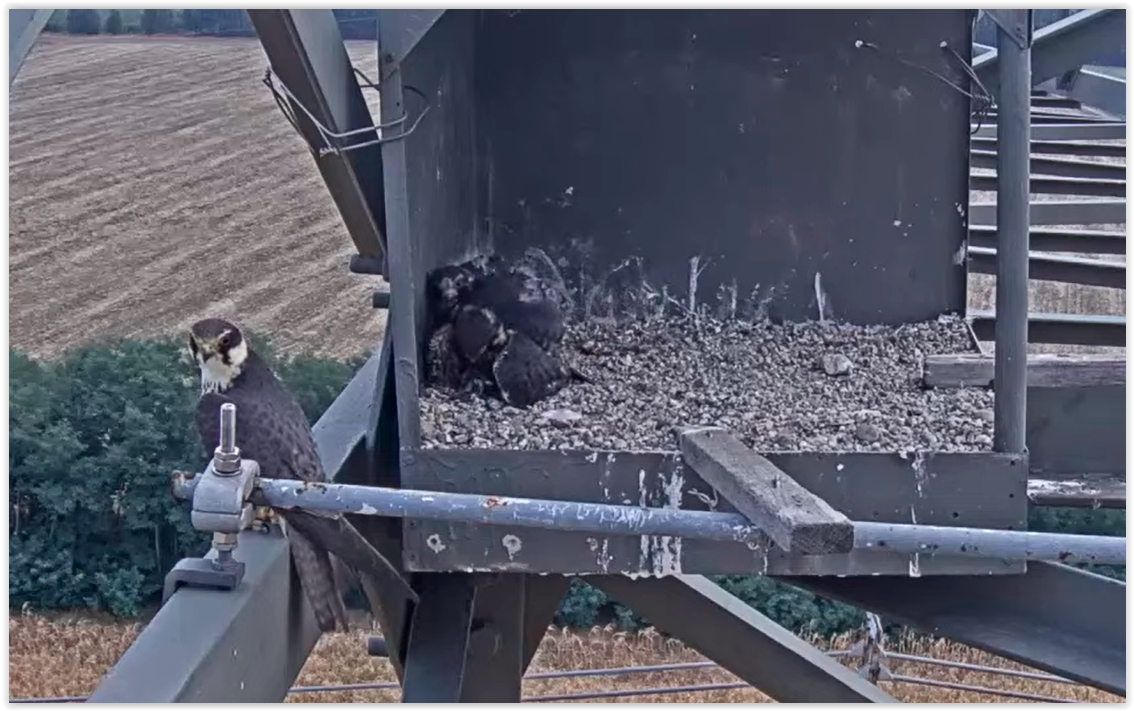 Screen Shot 08-09-22 at 08.43 AM