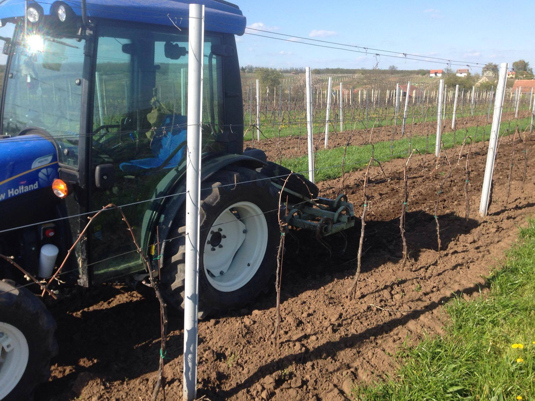 13090893_10204621001443222_49411494_o