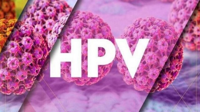 hpv21-782x440-1.jpg