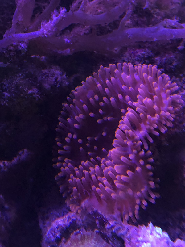 4DB32247-9190-4925-8347-AD38F4757CA6