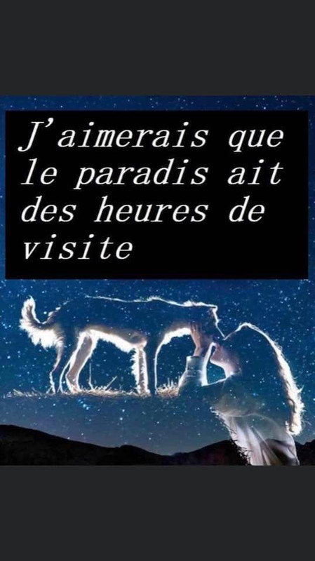 [Image: IMG-7713.jpg]