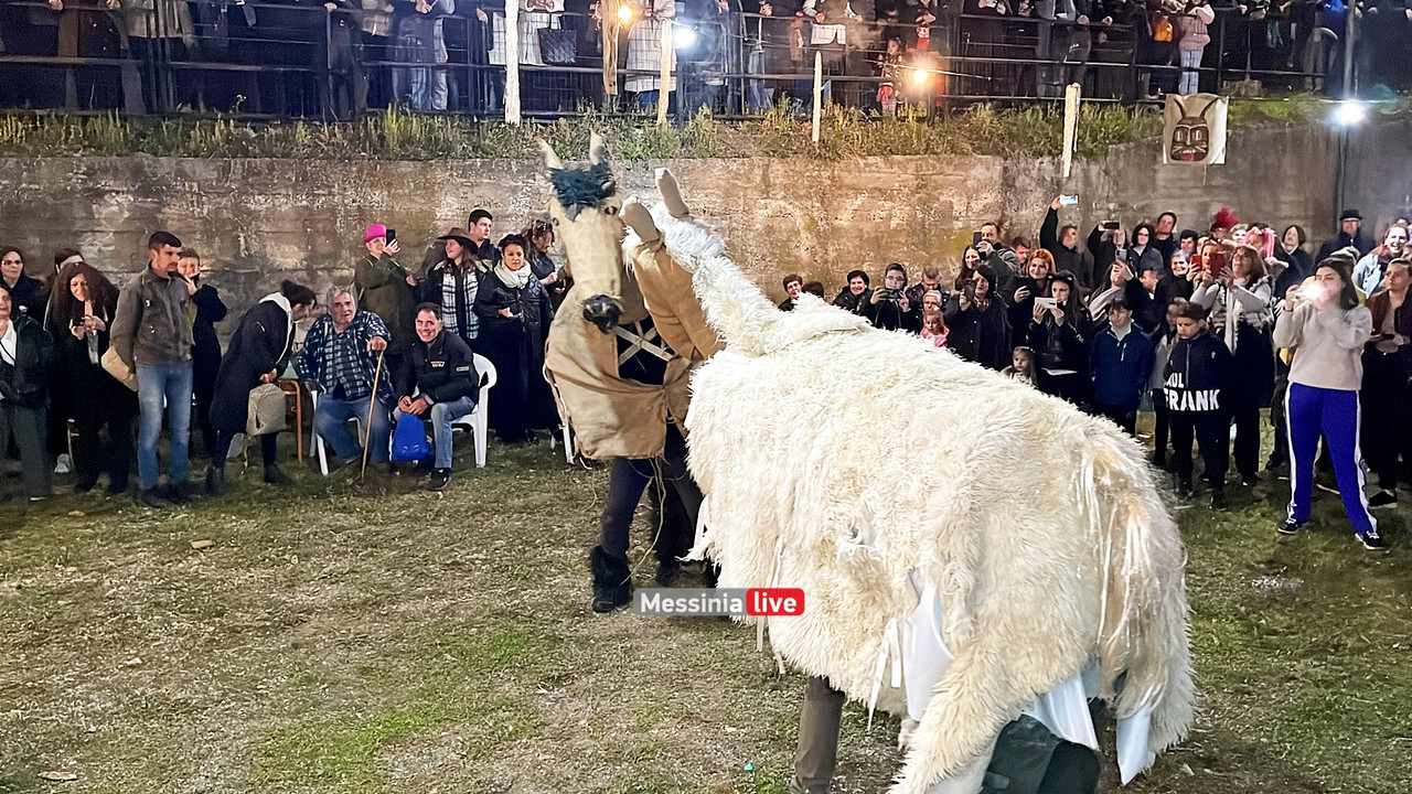 ελαιοχωριimage00004