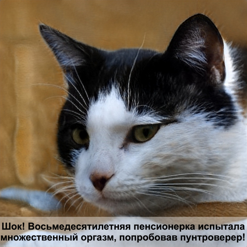 пурина проплан для стерилизованных кошек