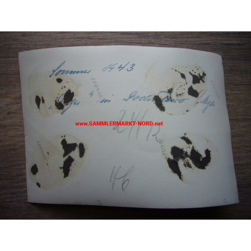 Russland 1943 - Panzerkampfwagen IV Tiger - Foto (2)