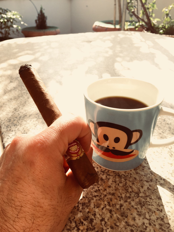 1E384316-C73B-45CD-B870-61F6CC0B5021