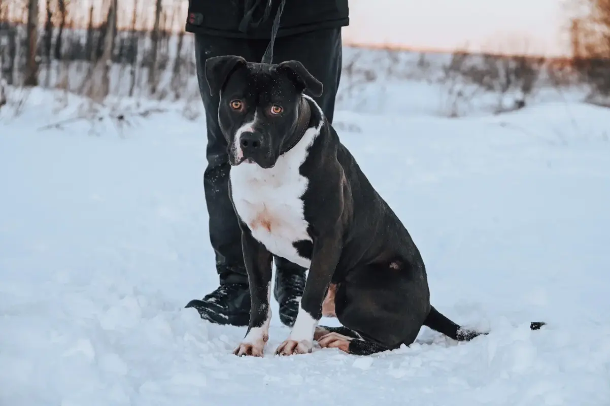 2022-02-14 18-40-51 (1)