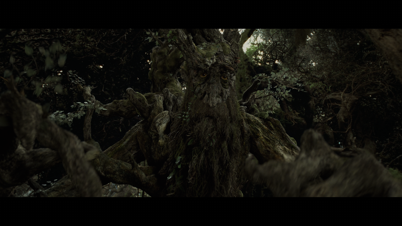 The Lord of the Rings- The Two Towers (EXT.) PT. 1.mkv_snapshot_01.11.14_[2020.12.08_18.09.23]