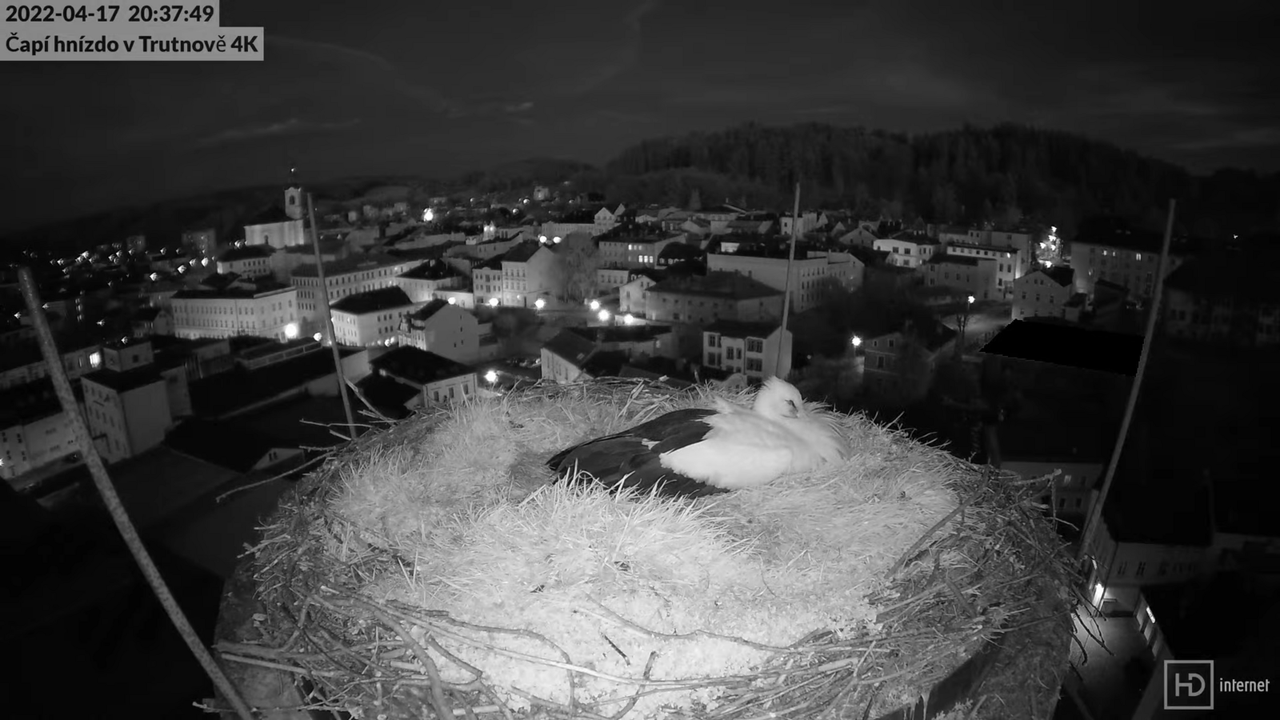 Živě z čapího hnízda na pivovarském komíně v Trutnově 13-6-34 screenshot