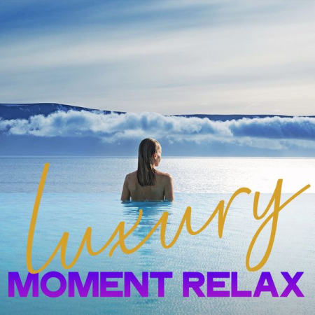 Various Artists - Luxury Moment Relax (Essential Luxury Lounge & Chillout Music 2020) (2020)