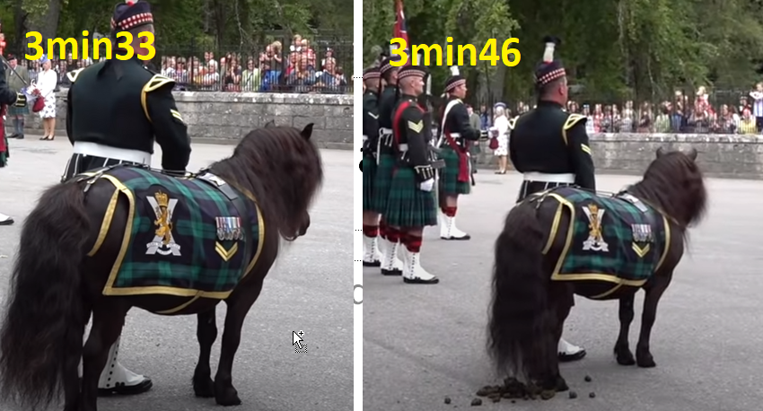 https://i.postimg.cc/sD3QSSP5/poney.png