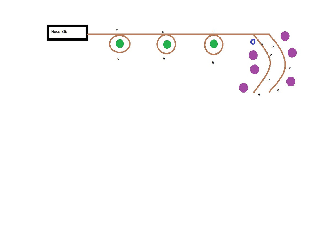 drip irrigation