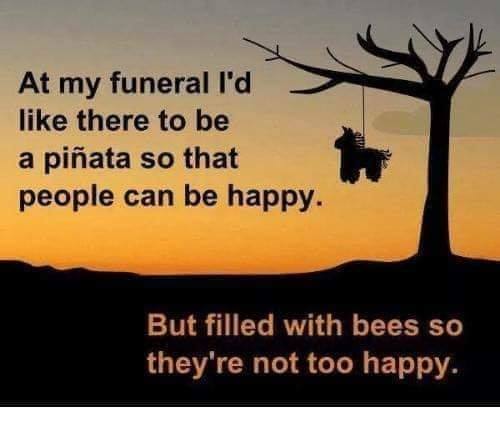 52410505_1269557429861050_70518326850517