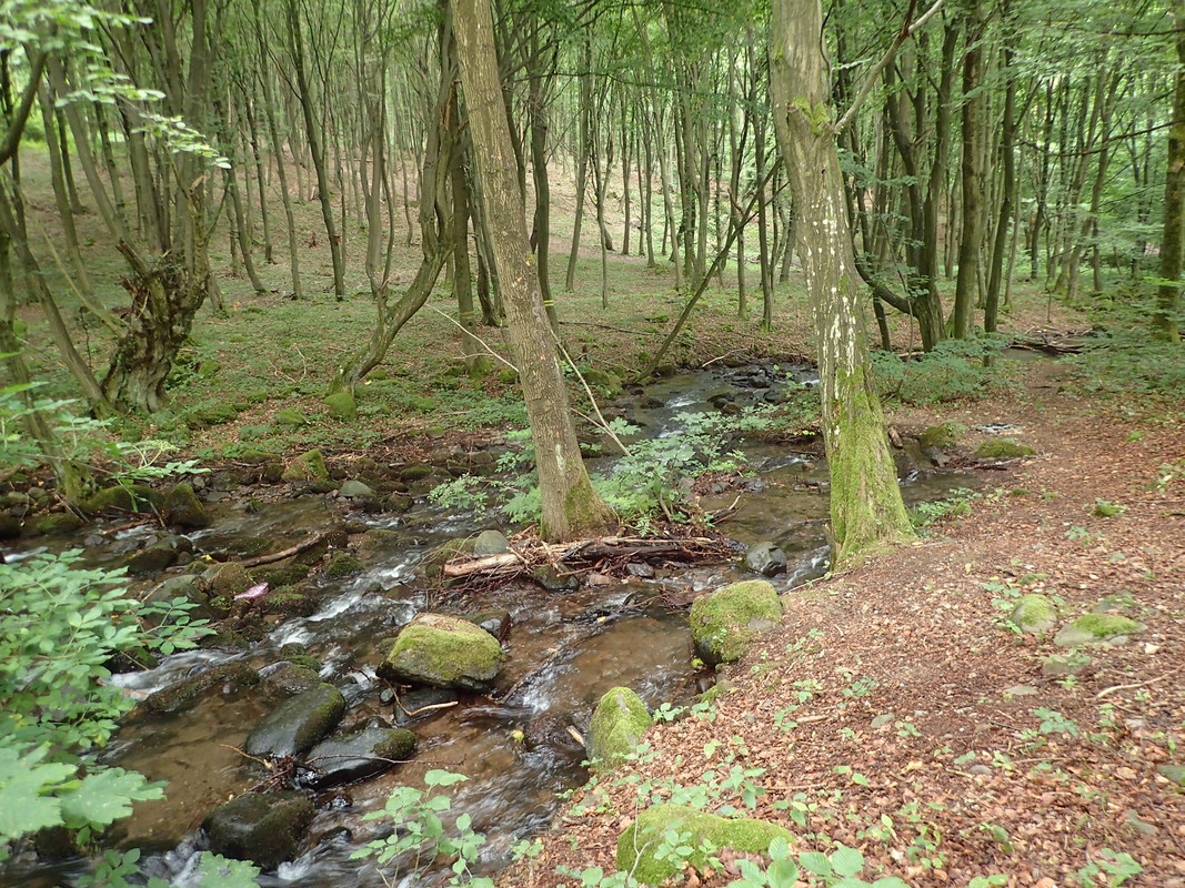2019_0714VTACNIK_TG0001