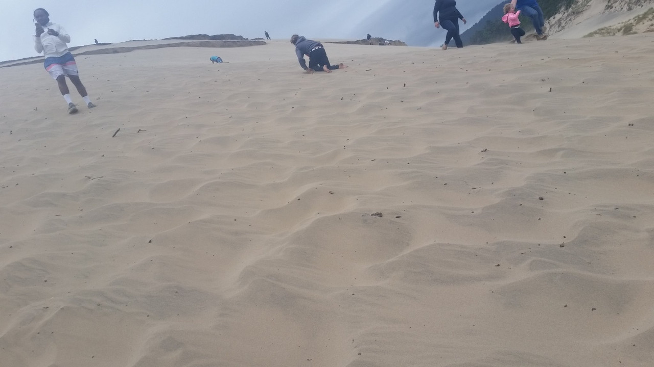 36751509_2415921111756680_3674555301543018496_o (1)