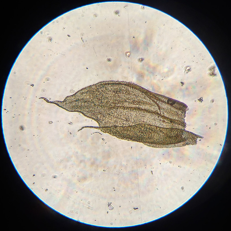 IMG 20250616 212724 HDR