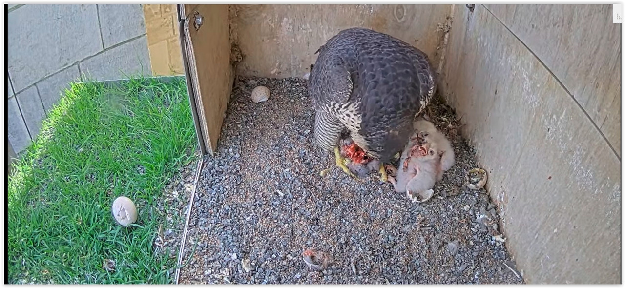 Screen Shot 05-01-24 at 01.00 PM