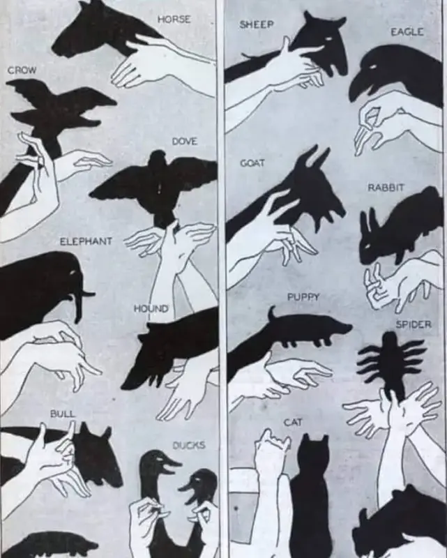 [Image: Shadows.webp]