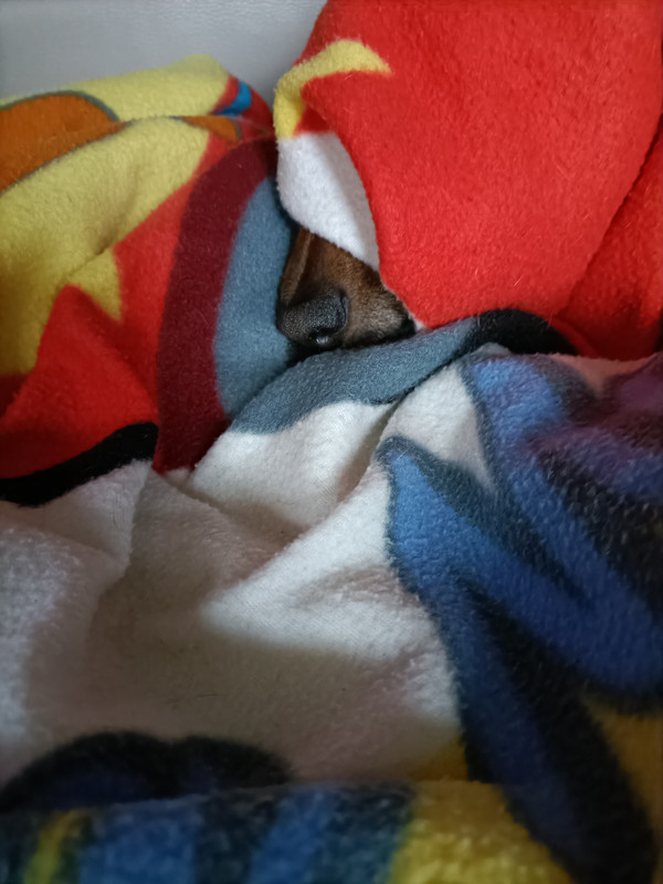 [Image: IMG20211030102844-1.jpg]