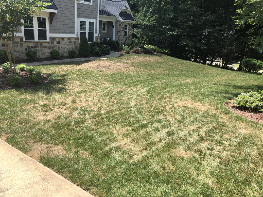 C563ECAD-AEE1-4F2D-97F2-171215B1F918