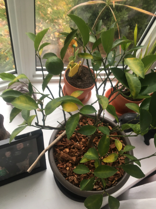 B535E61D-9583-4B0A-9088-77CA47A11796