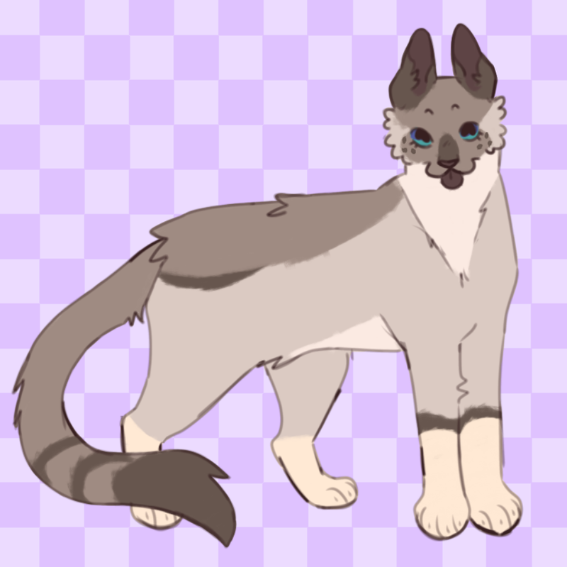 362382-CF-9-A2-B-46-C1-A76-E-D9-F3-B38-E231-A.png