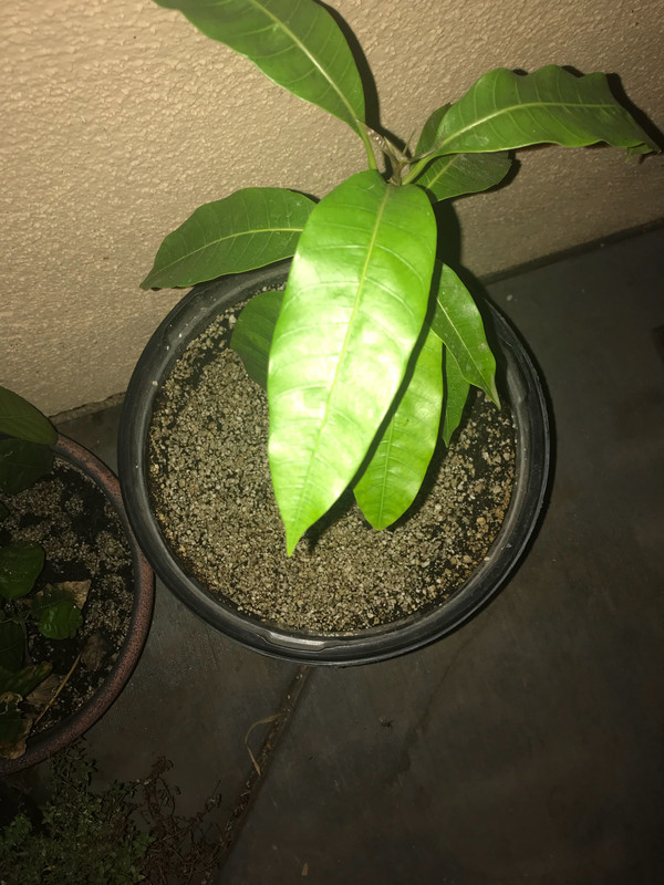 6739F21B-EECD-476B-BFD8-FB873D486622