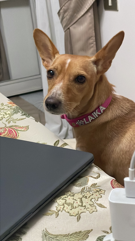 313CC50F-5DE1-47A4-9D21-08BD543D49D3