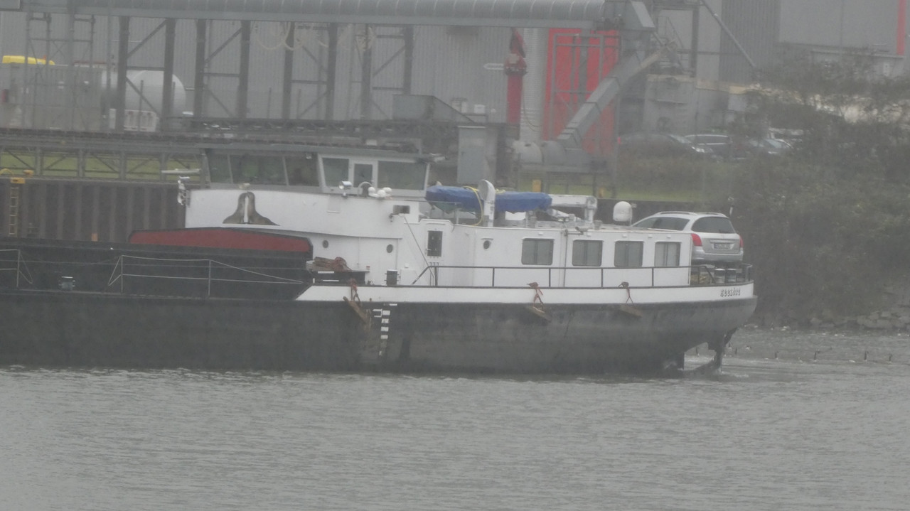 2021.12.01d Seelöwe