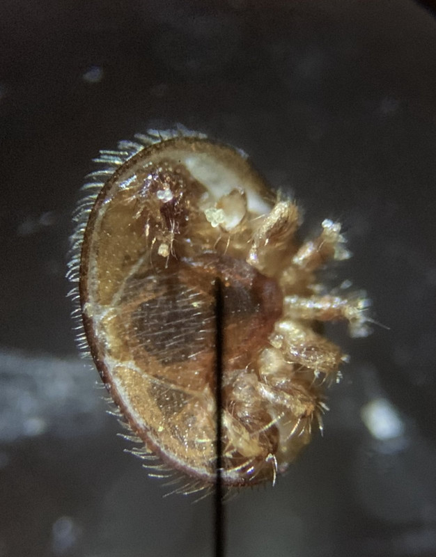 6B16C220-71B8-4797-86CD-1D0D753A6E35