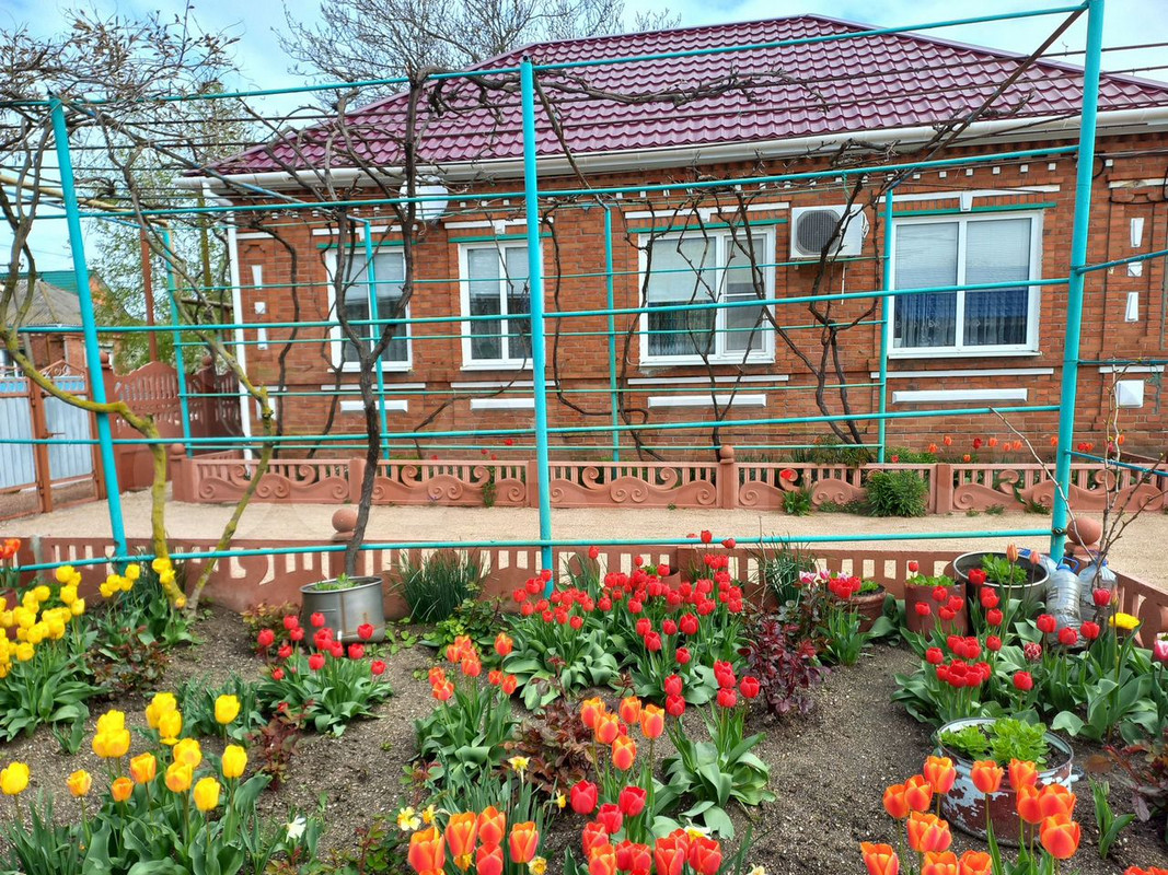 1.jf5T87a5IRdlRKMaRdX_-mxRIxHtUqMBZV8jFeFGJRU