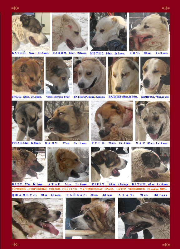 2009.11.21 5-й Турнир 1-й Круг ТСС Портреты ЛИСТ (1)