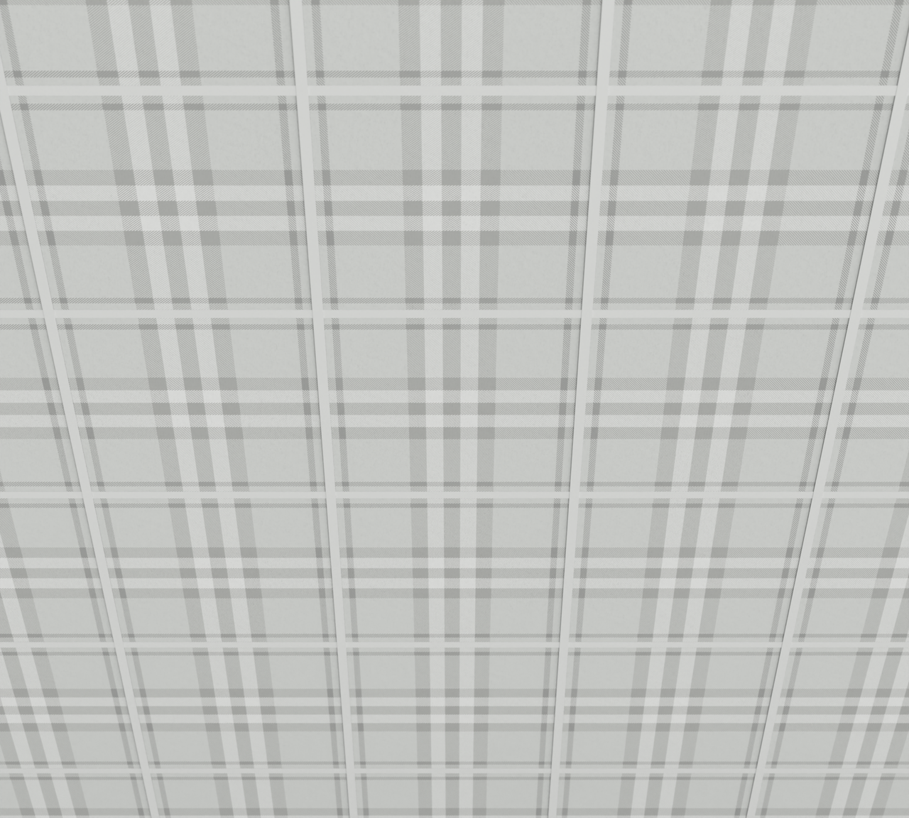 Gray Plain